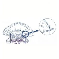 Surecatch Crab Measure For Muddies & Sandies-New Crab Ruler/Gauge 10 Surecatch Crab Measure For Muddies & Sandies-New Crab Ruler/Gauge -Gifts Sales 309cr 3