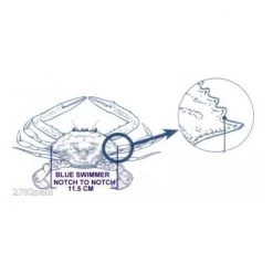 Surecatch Crab Measure For Muddies & Sandies-New Crab Ruler/Gauge 11 Surecatch Crab Measure For Muddies & Sandies-New Crab Ruler/Gauge -Gifts Sales 309cr 4