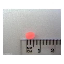 Gifts Under $20 Surecatch 226 Pc Whiting Pack In Fishing Tackle Box - Tackle Kit -Gifts Sales 309pkw 6