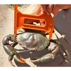 Accessories Accucrab Crab Measure - Crab Measurer - Crab Ruler For Sand And Mud Crabs 7 Accessories Accucrab Crab Measure - Crab Measurer - Crab Ruler For Sand And Mud Crabs -Gifts Sales accucrab